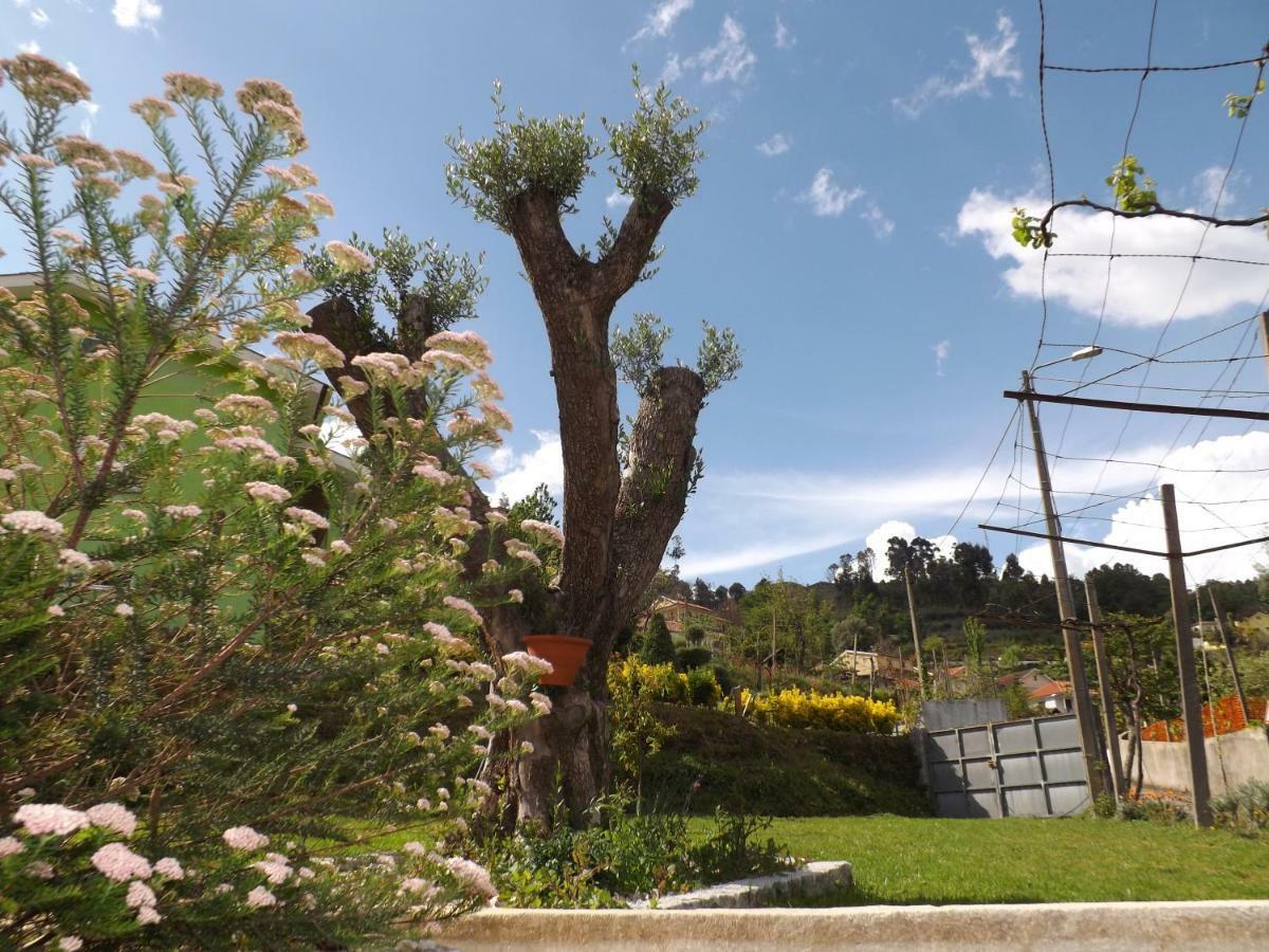 Casa Oliveira Holiday home *
